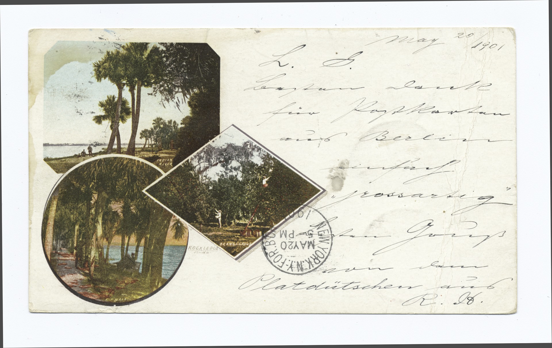 Orange grove walk near Rockledge, late 19th-century photograph.